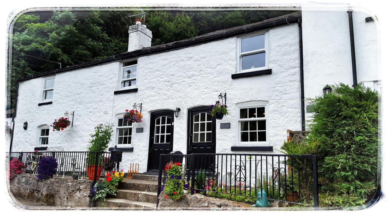 River Cottage St Asaph Ngoại thất bức ảnh